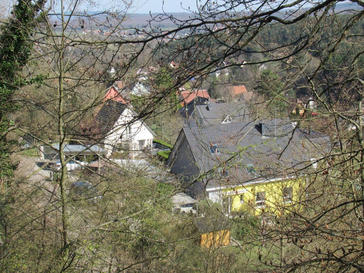 Le Clos D'Aure. Oberhaslach Exterior foto