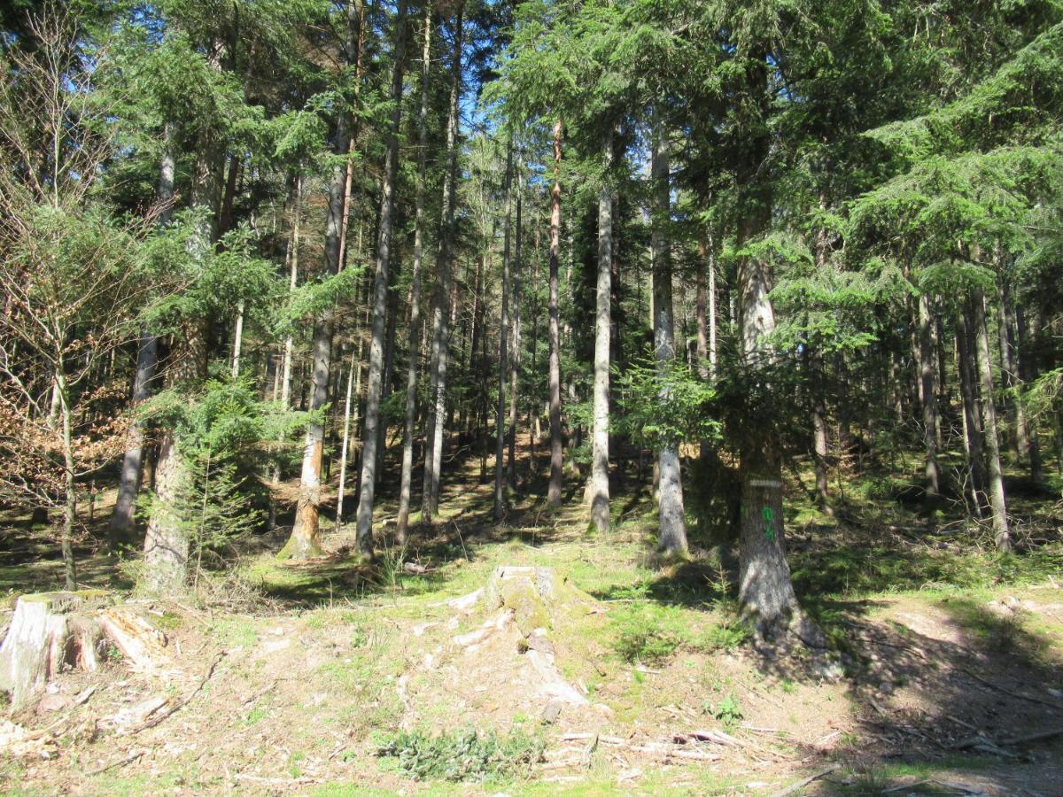 Le Clos D'Aure. Oberhaslach Exterior foto